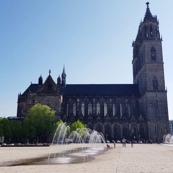 Magdeburger Dom mit Wasserspiel im Vordergrund
